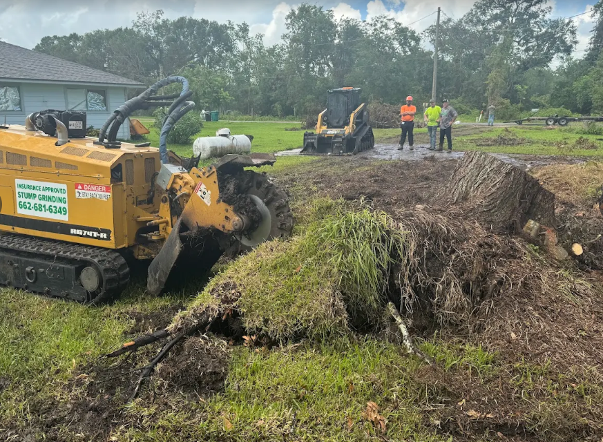 Stump grinding in Corinth, Mississippi