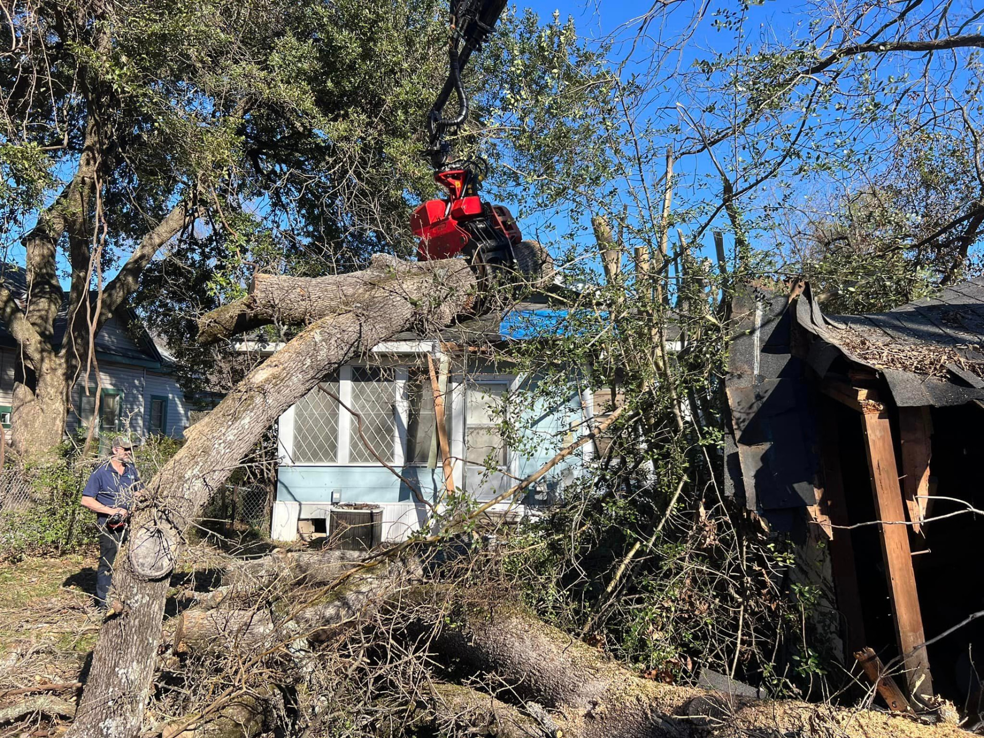 Grapple saw lifting a fallen oak off a damaged house and shed