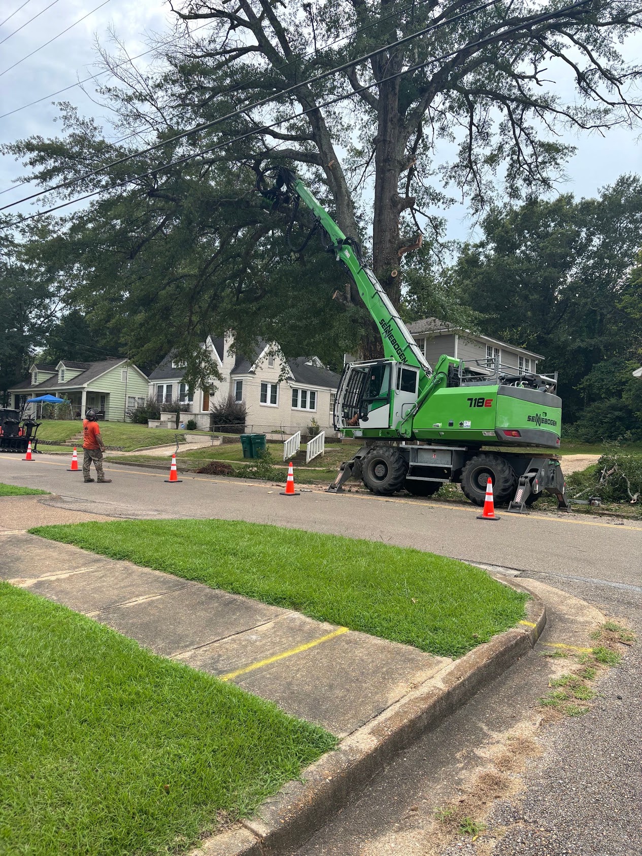 Sennebogen 718E removing a large tree beside power lines on a residential street