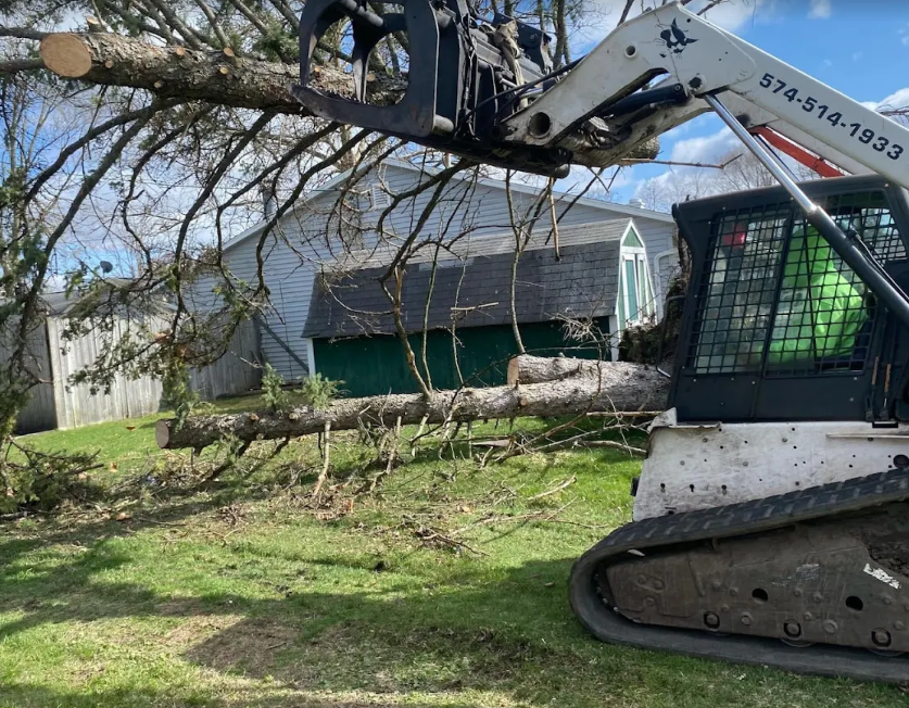 Track loader with grapple clearing a fallen tree from a back yard