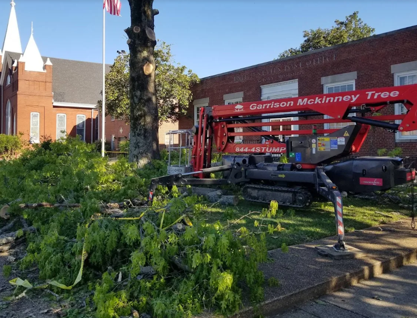 Tree trimming in Corinth, Mississippi